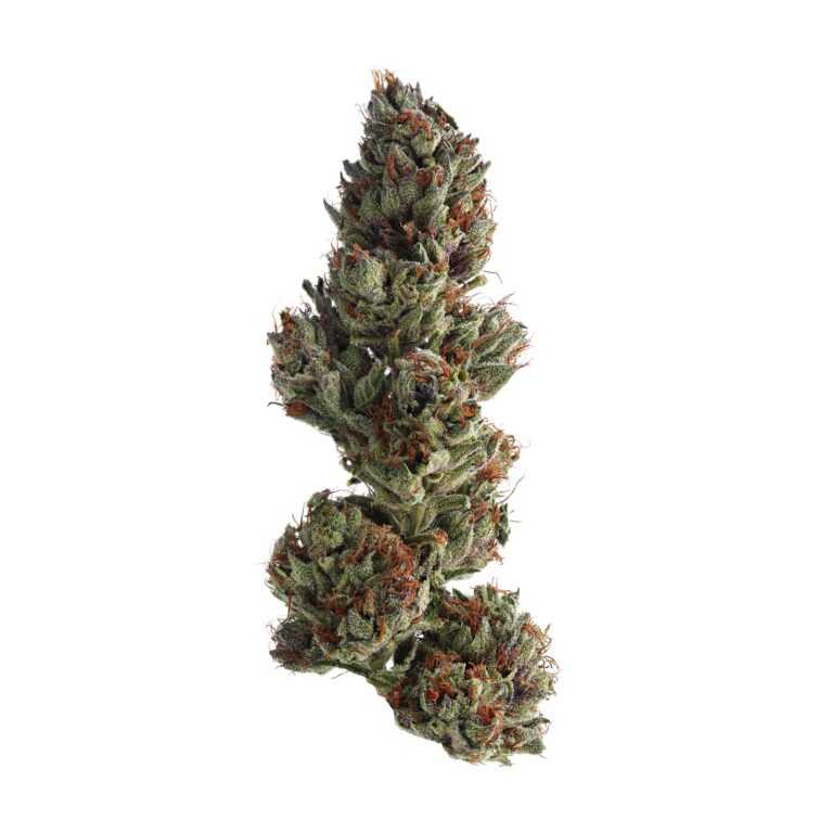 runtz nug image