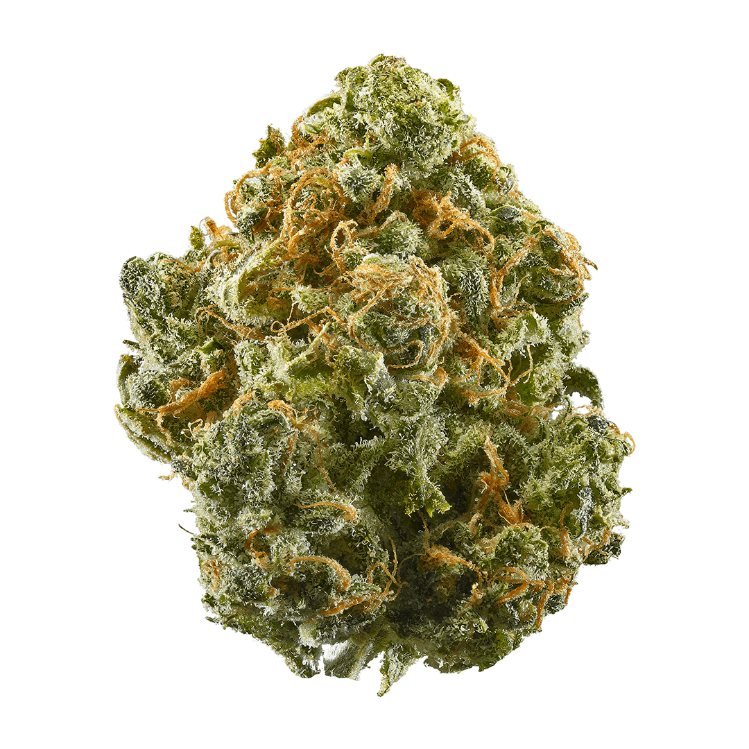 Guava weed strain information 2one2 dispensary