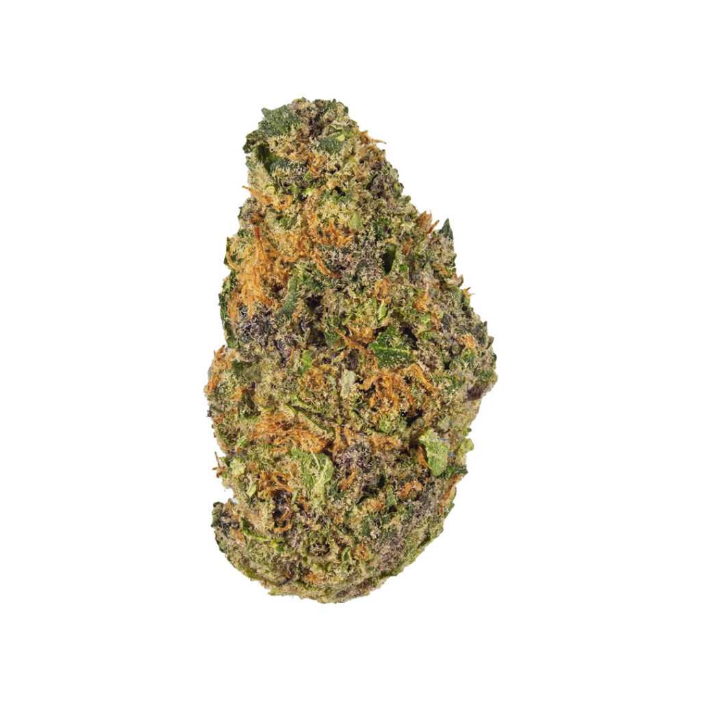 Cherry Gorilla