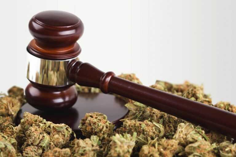 cannabis laws in san francisco