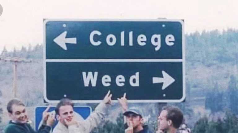 2 College Stoner Survival Guide